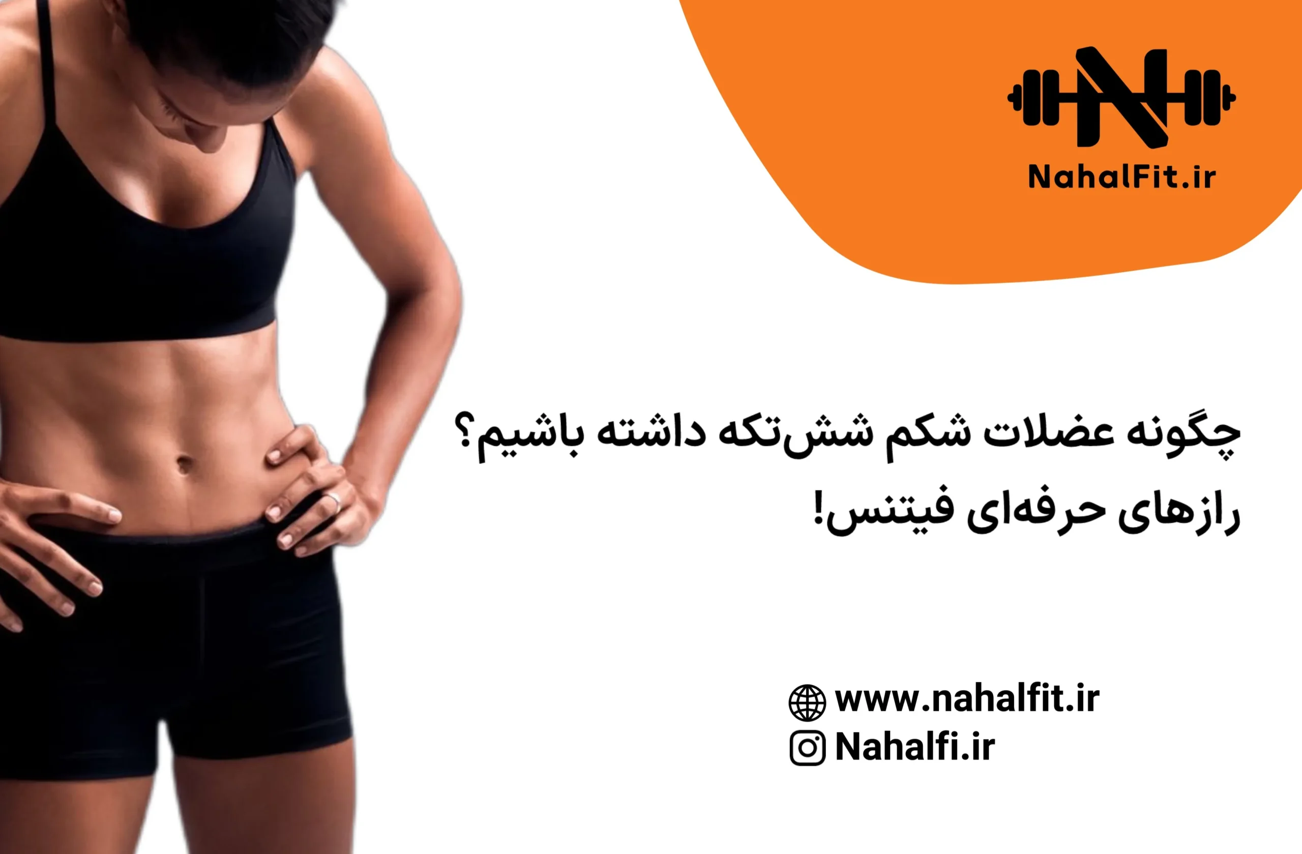 شکم شش تیکه